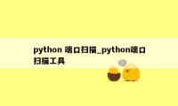 python 端口扫描_python端口扫描工具